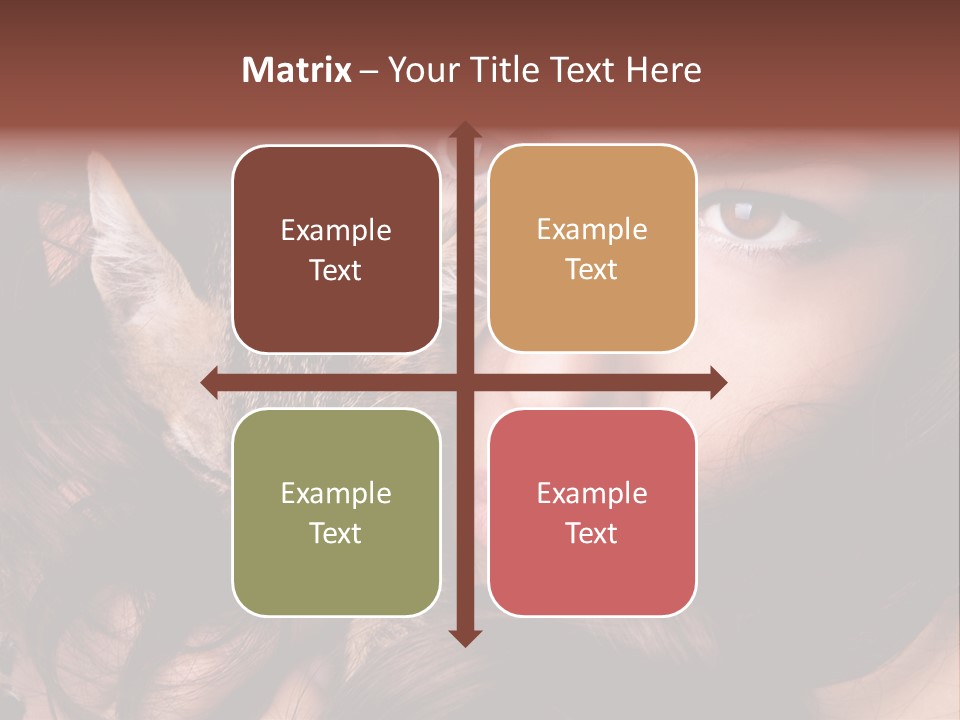 Animal Beautiful Kitten PowerPoint Template