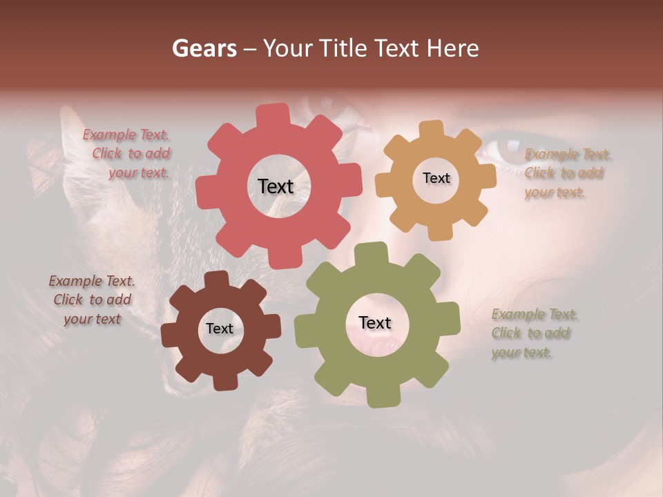 Animal Beautiful Kitten PowerPoint Template