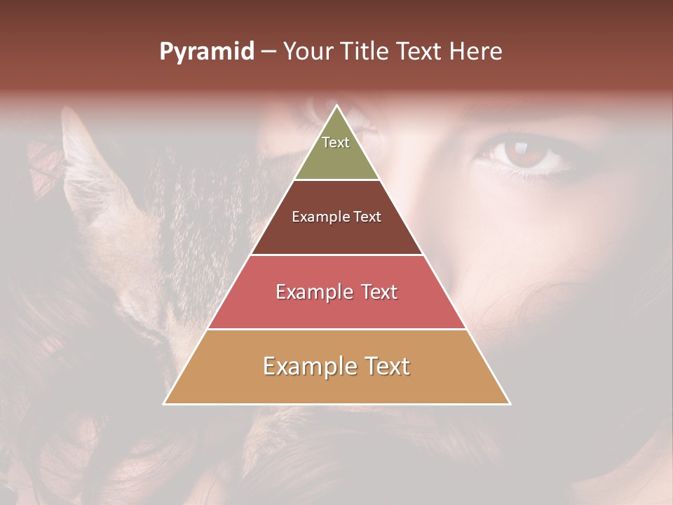 Animal Beautiful Kitten PowerPoint Template