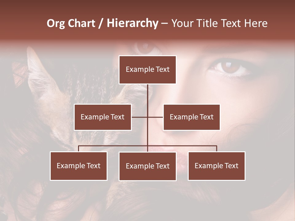 Animal Beautiful Kitten PowerPoint Template