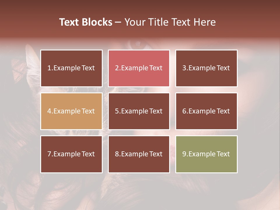 Animal Beautiful Kitten PowerPoint Template