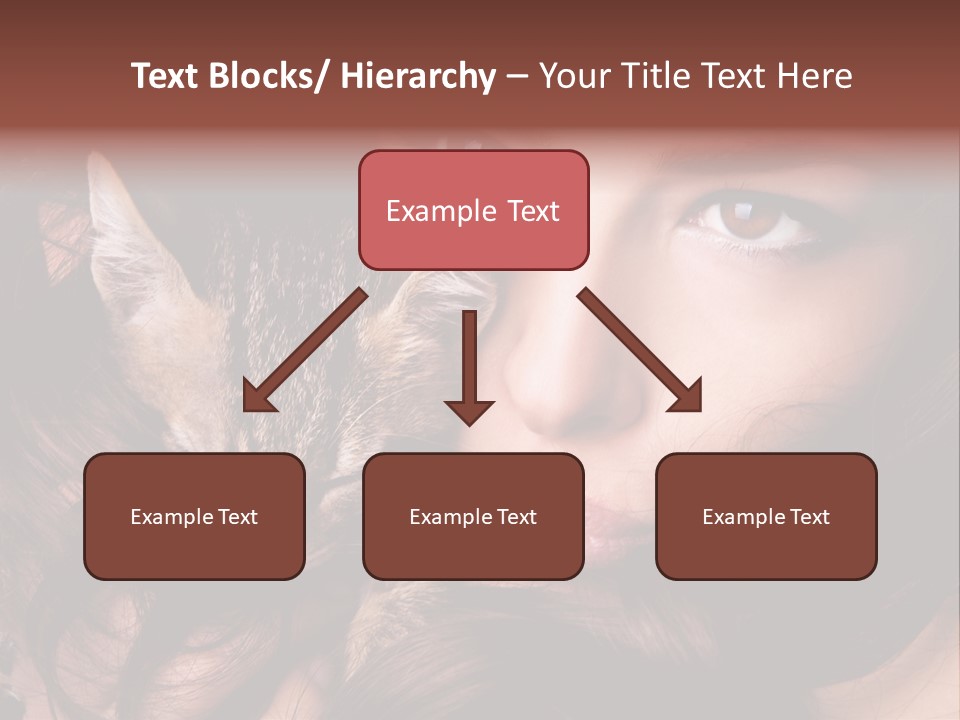 Animal Beautiful Kitten PowerPoint Template