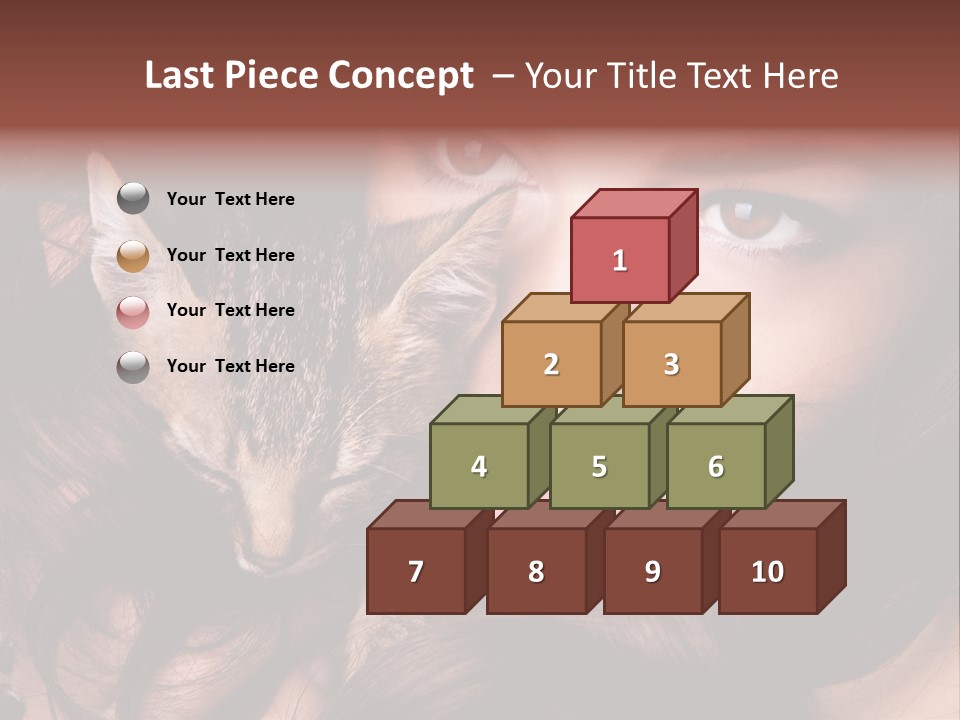 Animal Beautiful Kitten PowerPoint Template