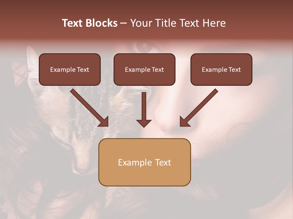 Animal Beautiful Kitten PowerPoint Template