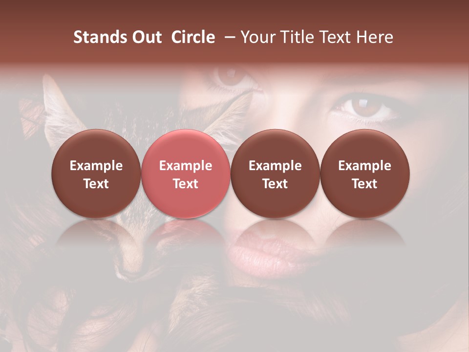 Animal Beautiful Kitten PowerPoint Template