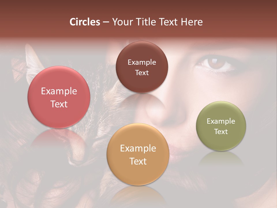 Animal Beautiful Kitten PowerPoint Template