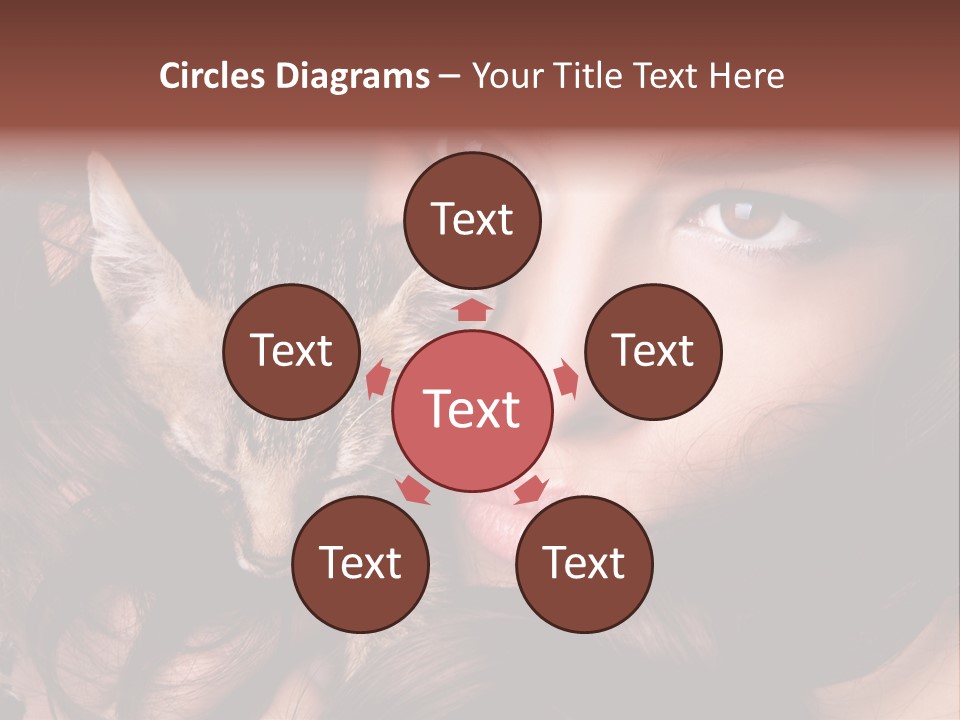 Animal Beautiful Kitten PowerPoint Template