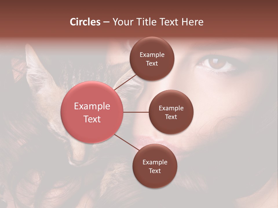 Animal Beautiful Kitten PowerPoint Template