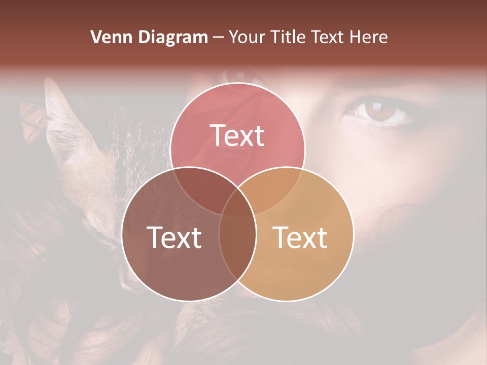 Animal Beautiful Kitten PowerPoint Template