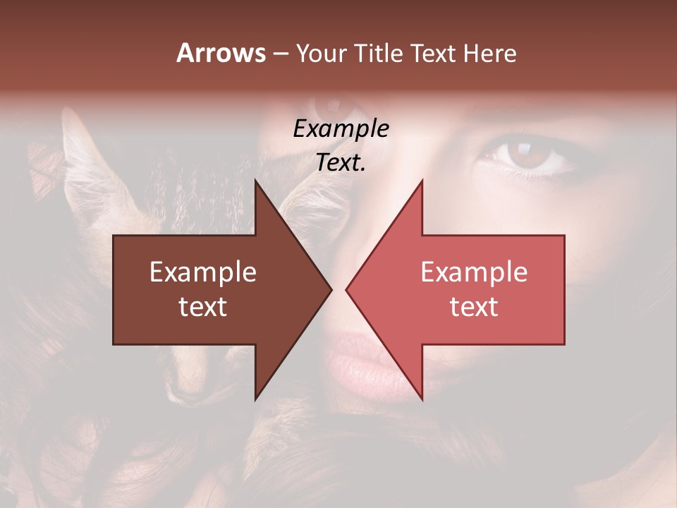 Animal Beautiful Kitten PowerPoint Template