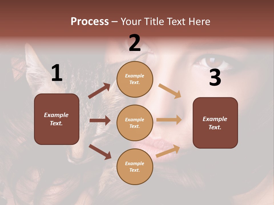 Animal Beautiful Kitten PowerPoint Template