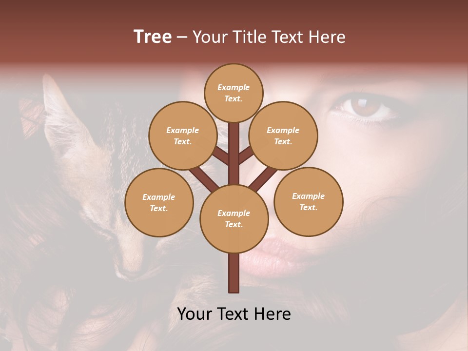 Animal Beautiful Kitten PowerPoint Template