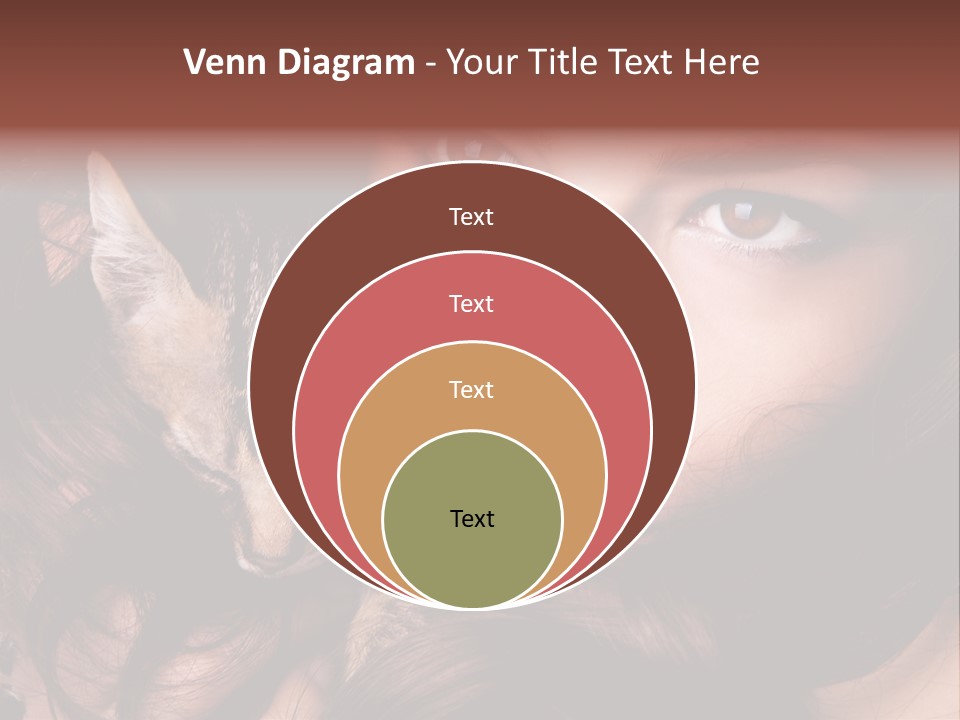 Animal Beautiful Kitten PowerPoint Template