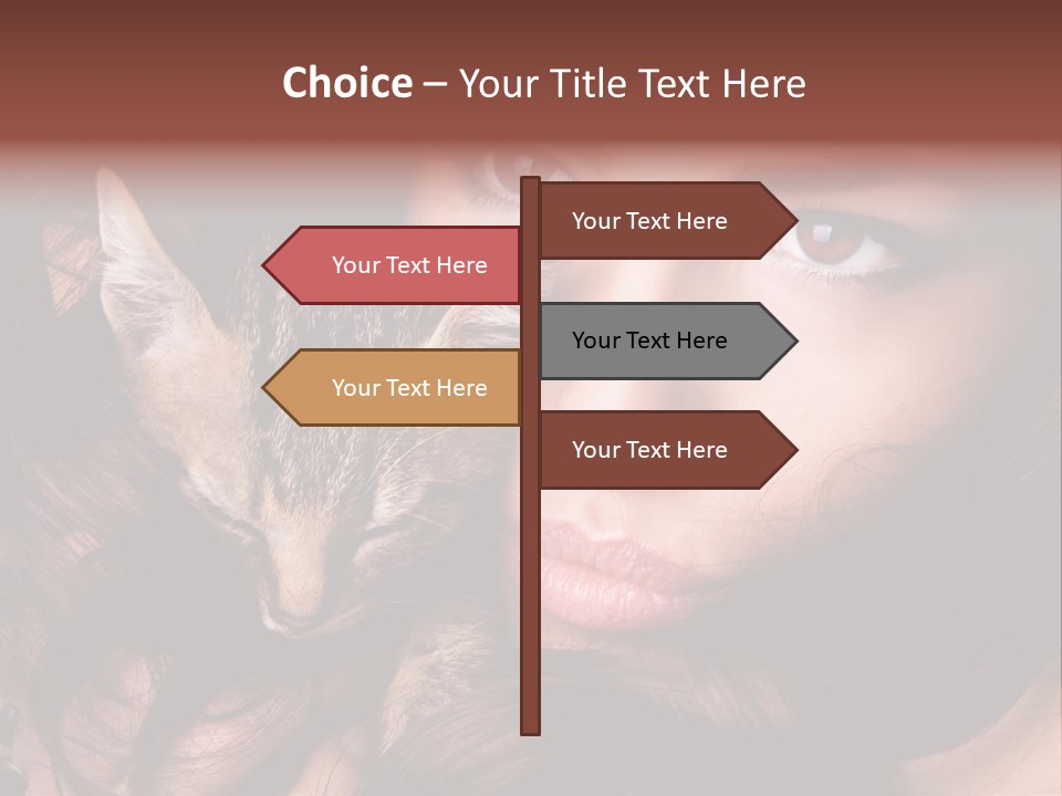 Animal Beautiful Kitten PowerPoint Template