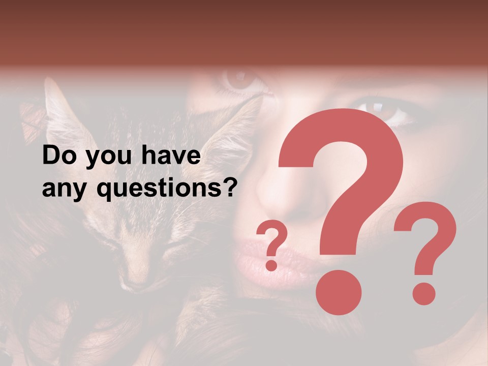 Animal Beautiful Kitten PowerPoint Template