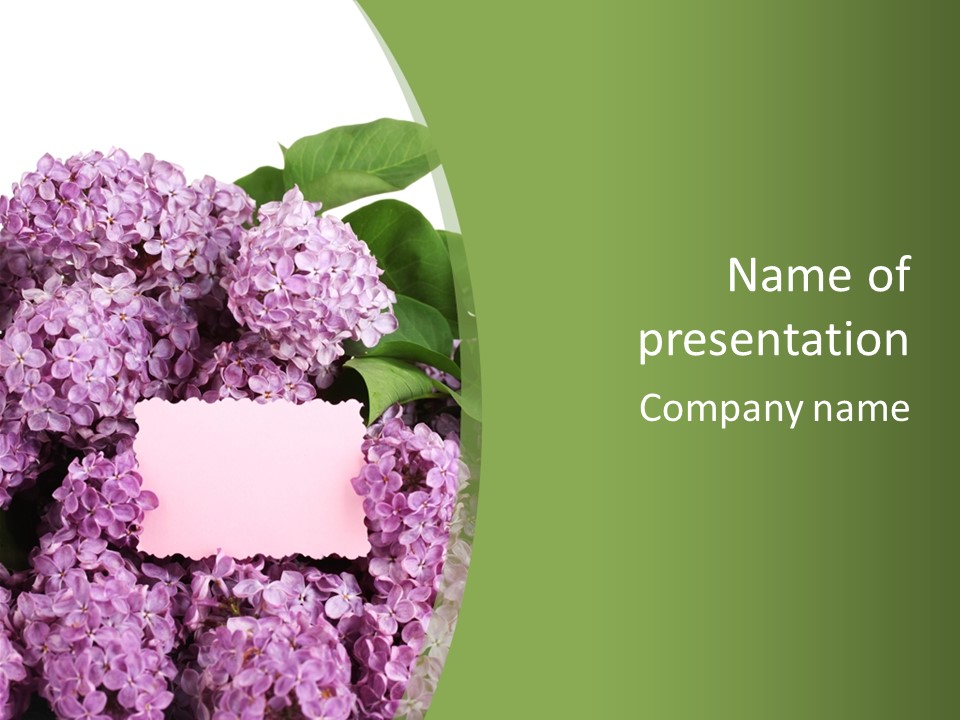 Flora Violet Floral PowerPoint Template