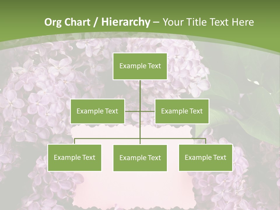 Flora Violet Floral PowerPoint Template