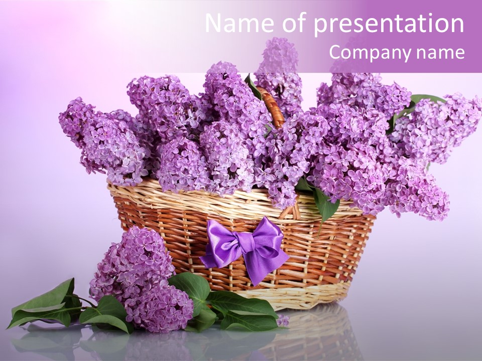 Flowers Blossom Petal PowerPoint Template