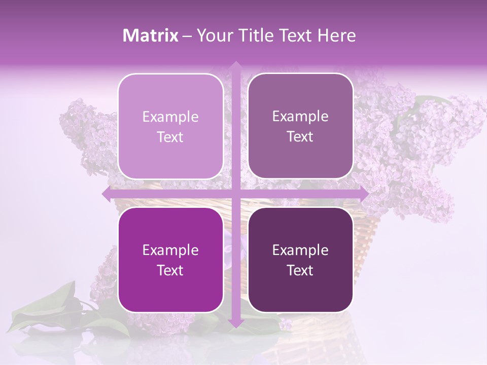 Flowers Blossom Petal PowerPoint Template