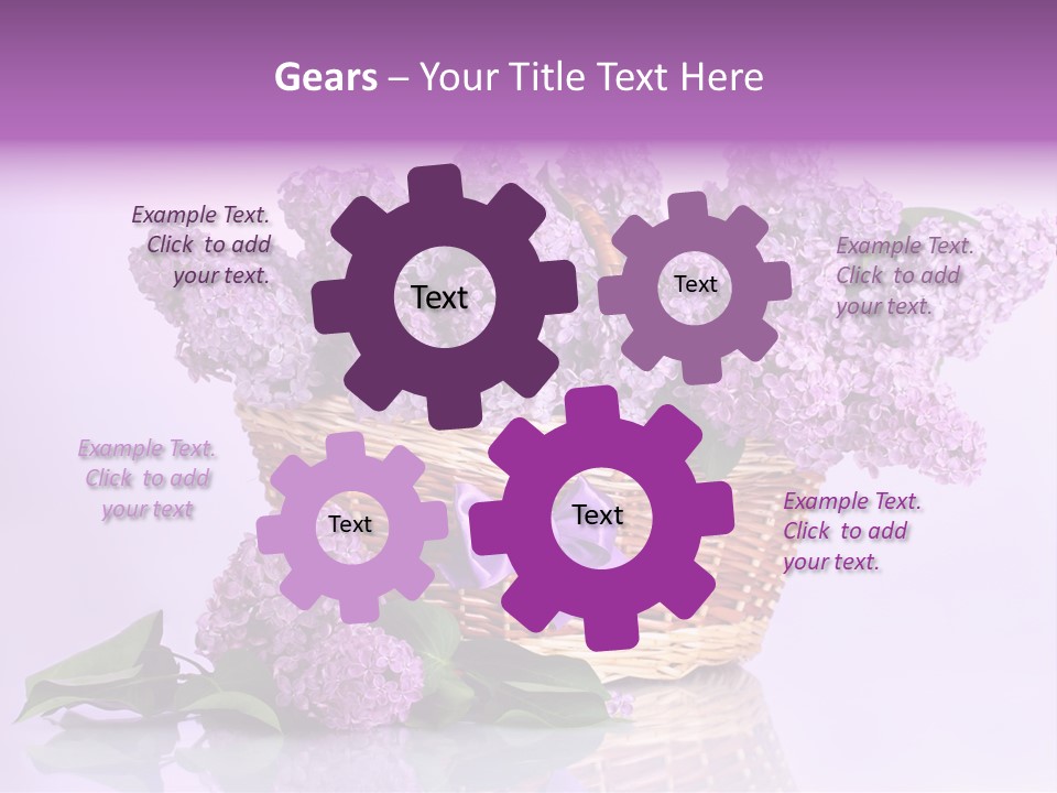 Flowers Blossom Petal PowerPoint Template