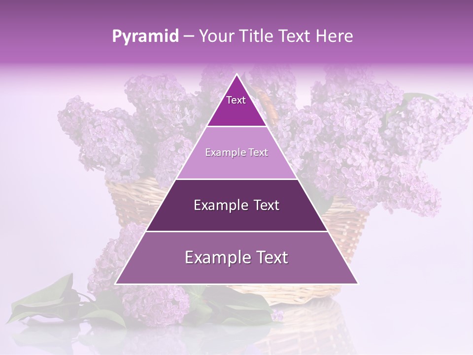 Flowers Blossom Petal PowerPoint Template