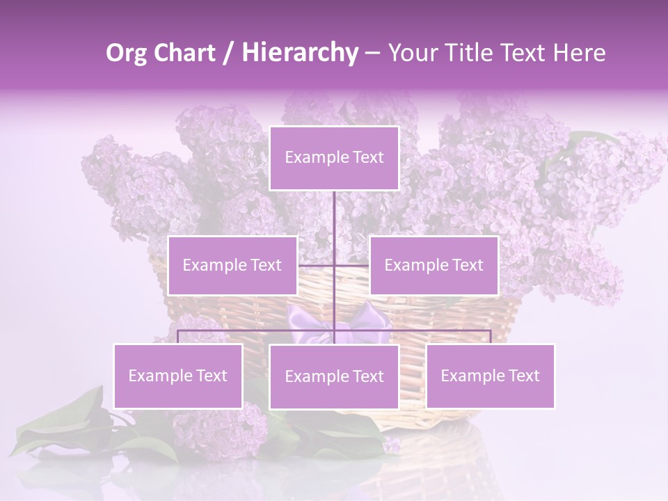 Flowers Blossom Petal PowerPoint Template