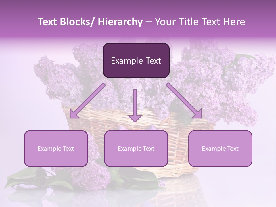 Flowers Blossom Petal PowerPoint Template