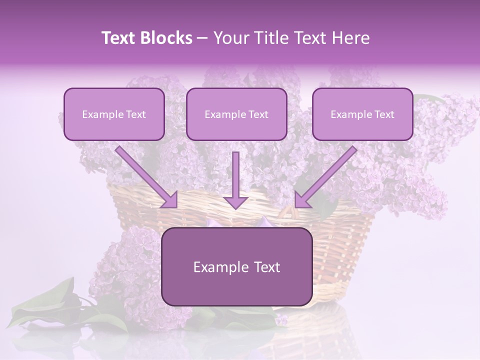 Flowers Blossom Petal PowerPoint Template