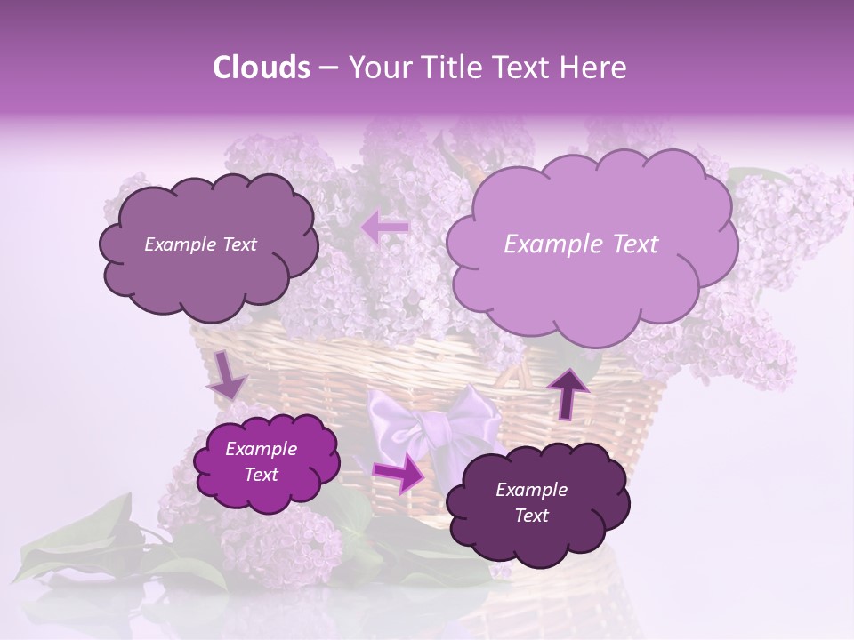 Flowers Blossom Petal PowerPoint Template