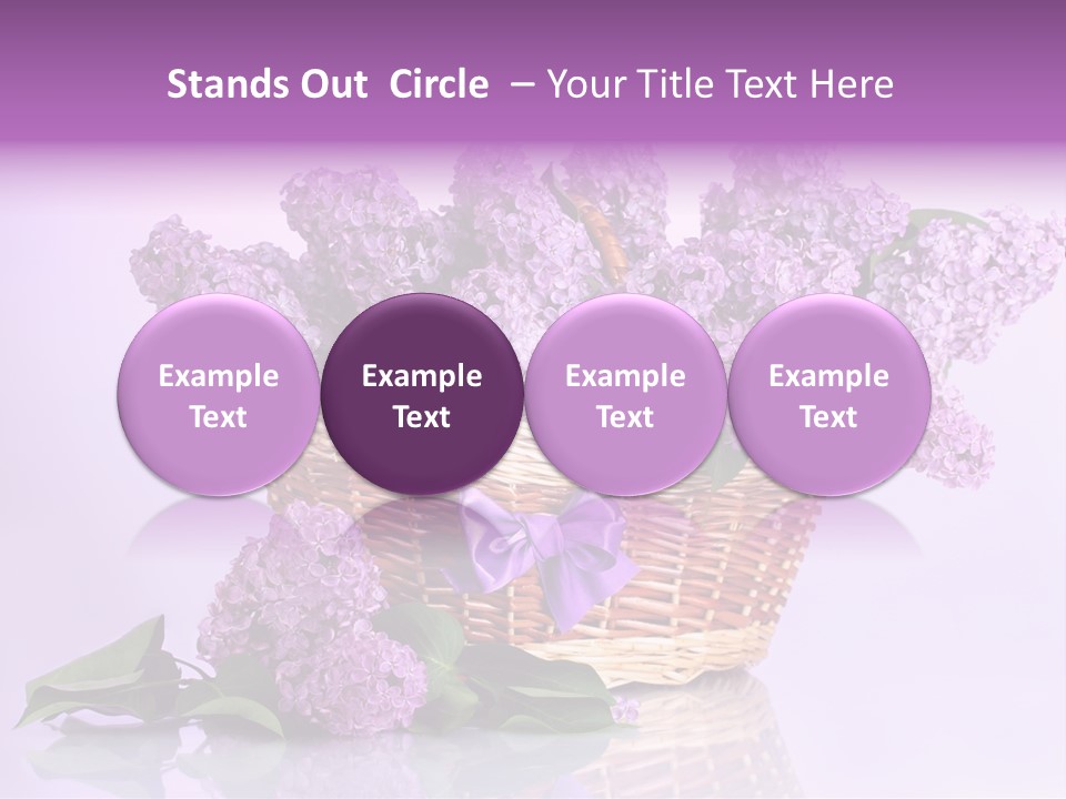 Flowers Blossom Petal PowerPoint Template