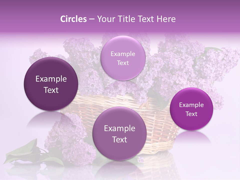 Flowers Blossom Petal PowerPoint Template