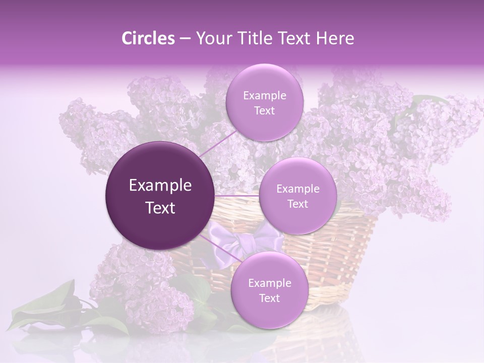 Flowers Blossom Petal PowerPoint Template