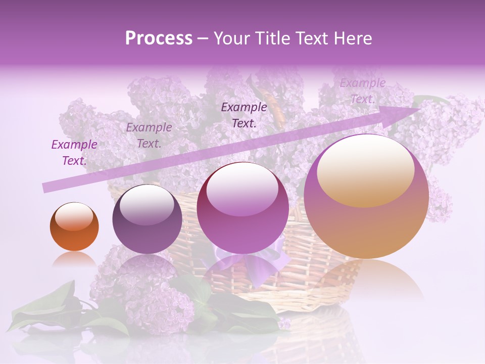 Flowers Blossom Petal PowerPoint Template