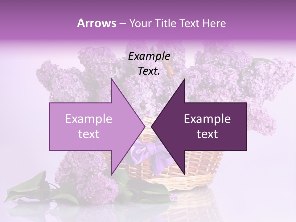 Flowers Blossom Petal PowerPoint Template