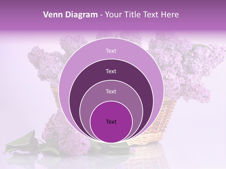 Flowers Blossom Petal PowerPoint Template