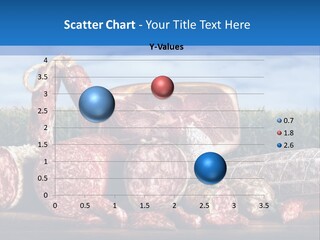 Salumificio Salsiccia Merenda PowerPoint Template