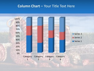 Salumificio Salsiccia Merenda PowerPoint Template