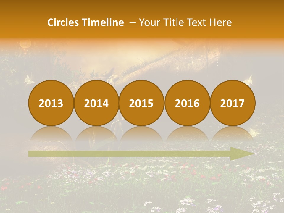 Kwiat Noc Motyl PowerPoint Template