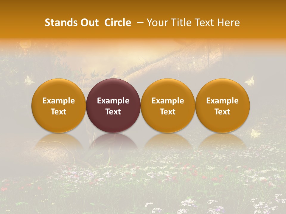 Kwiat Noc Motyl PowerPoint Template