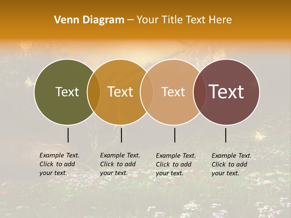 Kwiat Noc Motyl PowerPoint Template