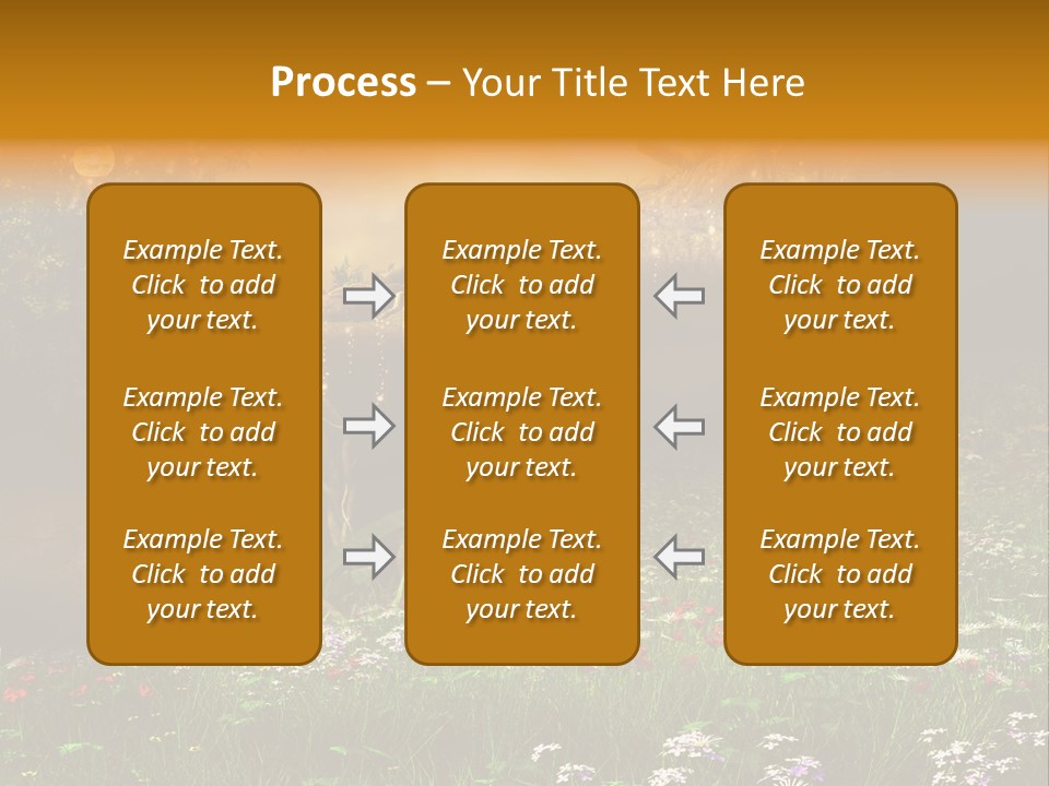 Kwiat Noc Motyl PowerPoint Template
