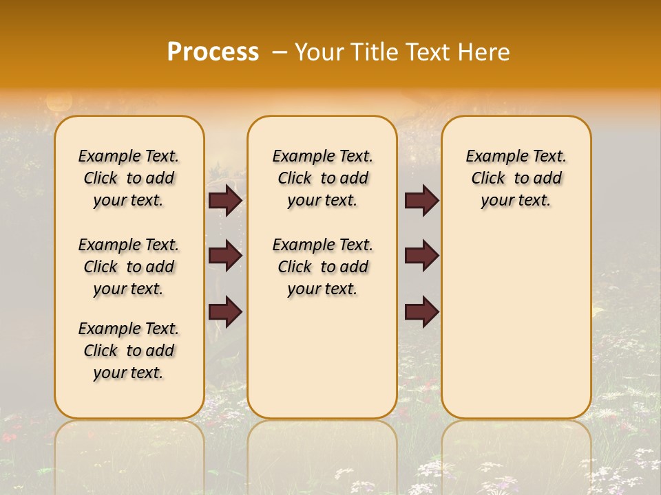 Kwiat Noc Motyl PowerPoint Template