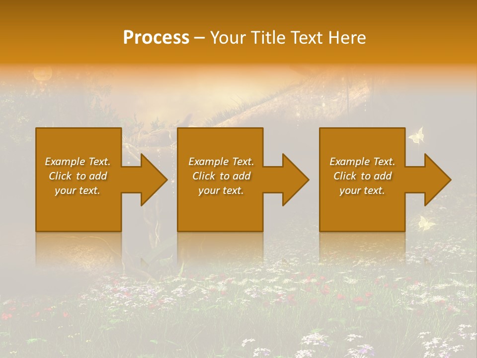 Kwiat Noc Motyl PowerPoint Template