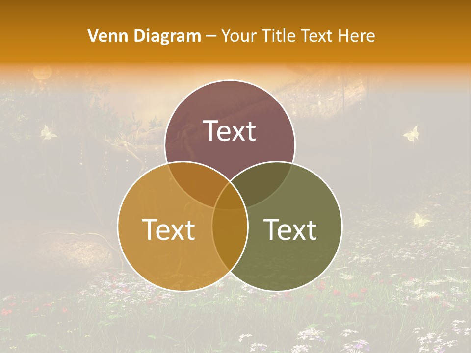 Kwiat Noc Motyl PowerPoint Template