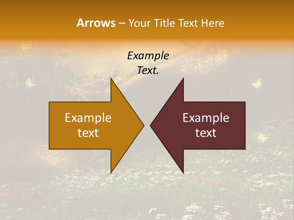 Kwiat Noc Motyl PowerPoint Template