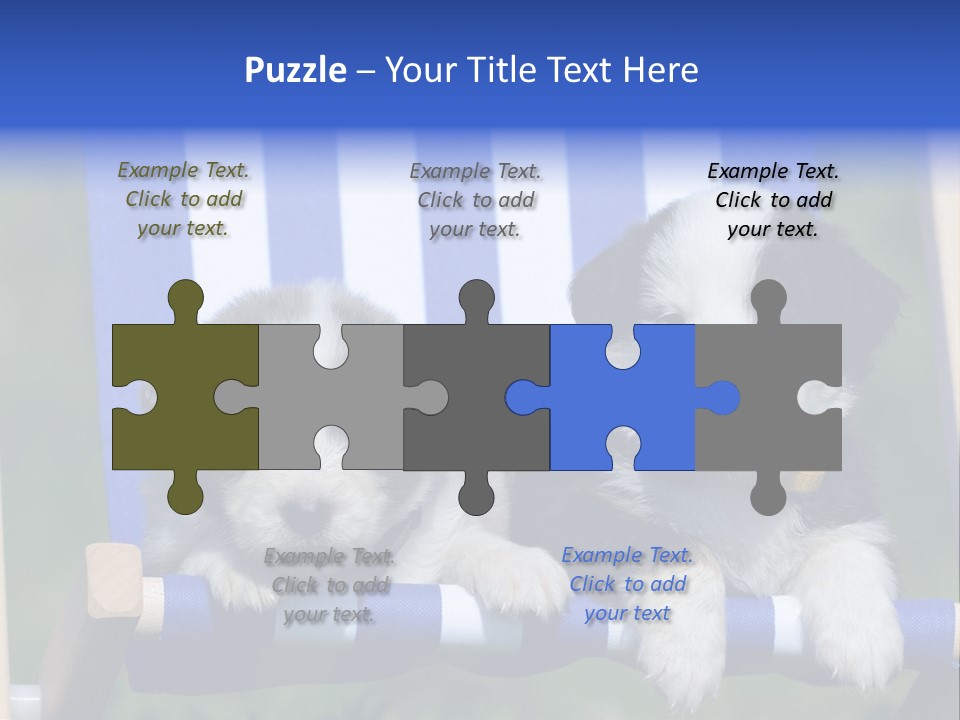 Stuhl Blue Merle Australian Shepherd PowerPoint Template