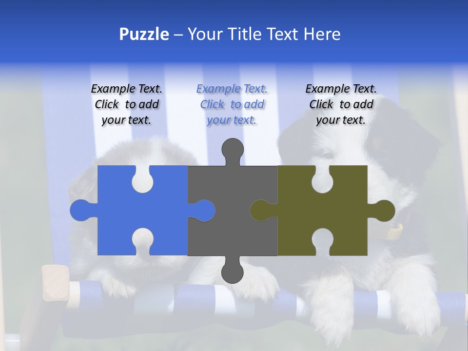 Stuhl Blue Merle Australian Shepherd PowerPoint Template