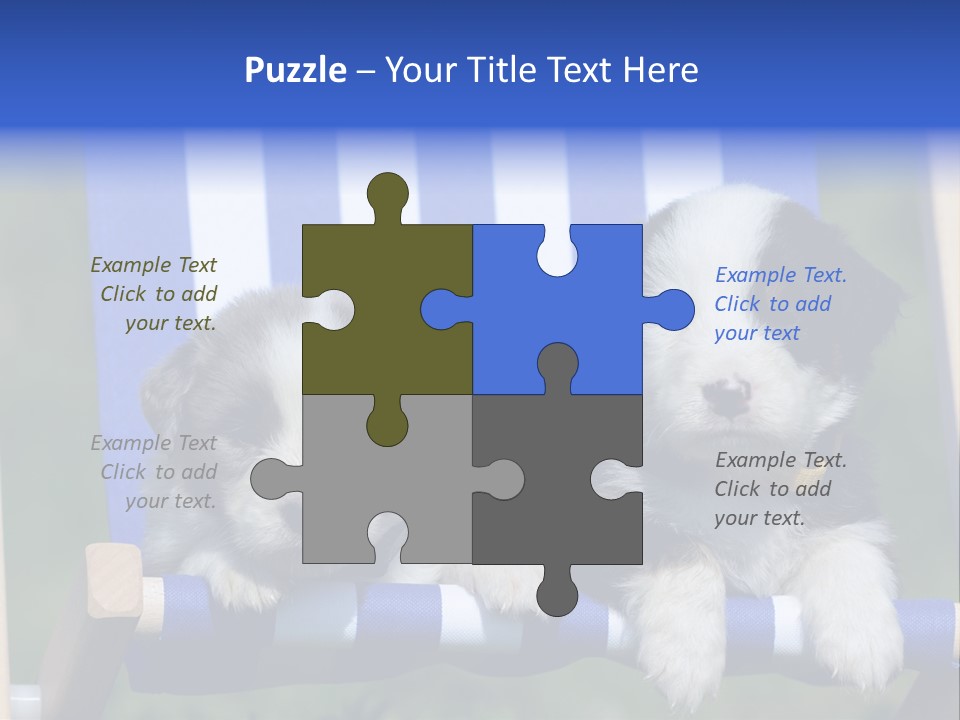 Stuhl Blue Merle Australian Shepherd PowerPoint Template