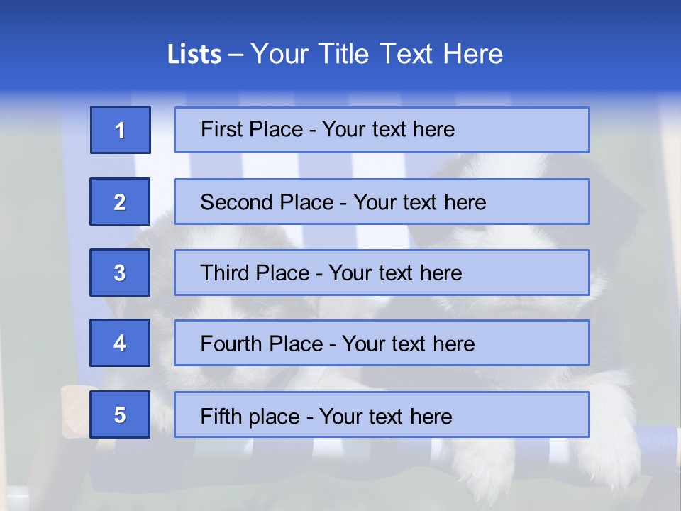 Stuhl Blue Merle Australian Shepherd PowerPoint Template