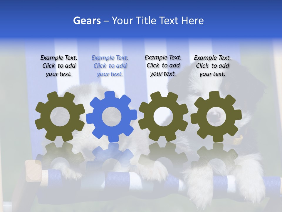 Stuhl Blue Merle Australian Shepherd PowerPoint Template